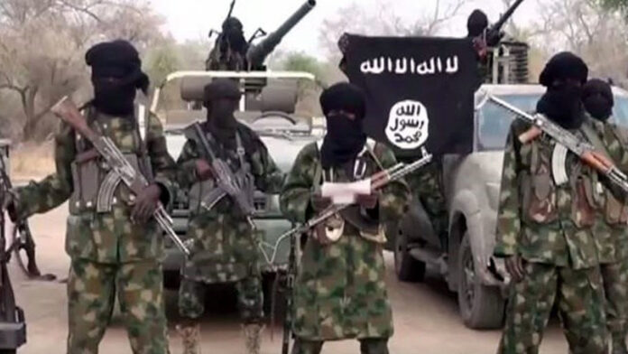 Boko Haram Jihadists Kill 14 Farmers In Ngwom Village, Borno